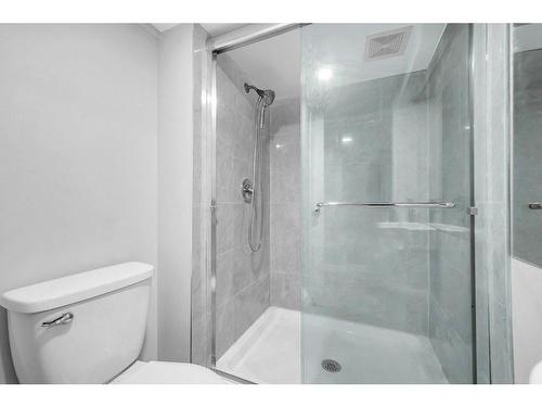 256 Castleridge Drive Ne, Calgary, AB - Indoor Photo Showing Bathroom