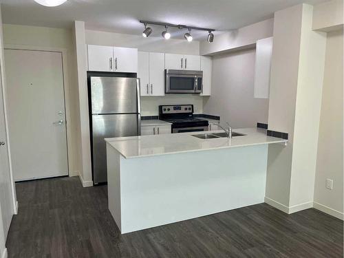 4203-181 Skyview Ranch Manor Ne, Calgary, AB - Indoor Photo Showing Kitchen With Stainless Steel Kitchen With Double Sink