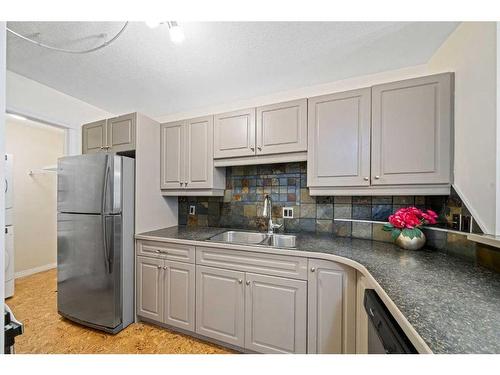 102-705 56 Avenue Sw, Calgary, AB - Indoor Photo Showing Kitchen With Double Sink