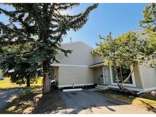 306 Pinestream Place Ne, Calgary, AB - Outdoor