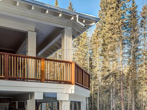 212 Hawks Landing Rise, Priddis Greens, AB - Outdoor