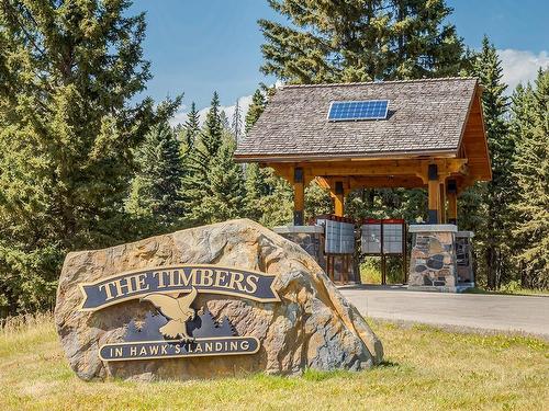 212 Hawks Landing Rise, Priddis Greens, AB - Outdoor