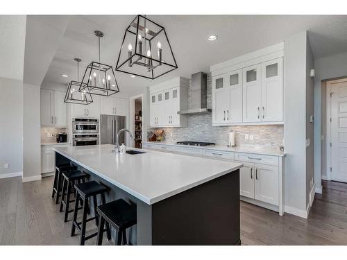 203 Cranbrook Circle Se, Calgary, AB - Indoor Photo Showing Kitchen With Upgraded Kitchen