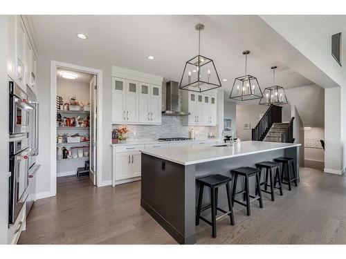 203 Cranbrook Circle Se, Calgary, AB - Indoor Photo Showing Kitchen With Upgraded Kitchen