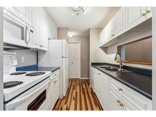 1213-6224 17 Avenue Se, Calgary, AB - Indoor Photo Showing Kitchen With Double Sink