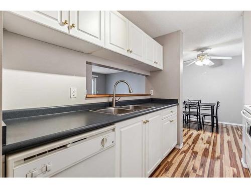 1213-6224 17 Avenue Se, Calgary, AB - Indoor Photo Showing Kitchen With Double Sink