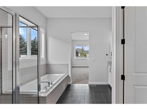 820 Mandalay Link, Carstairs, AB - Indoor Photo Showing Bathroom