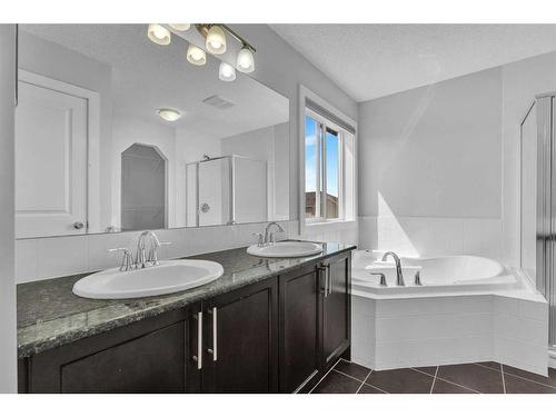 35 Skyview Shores Court Ne, Calgary, AB - Indoor Photo Showing Bathroom