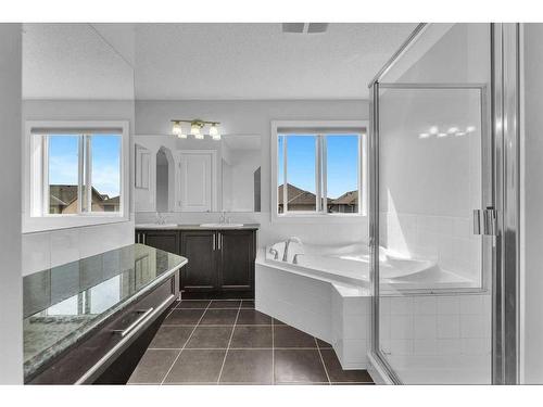 35 Skyview Shores Court Ne, Calgary, AB - Indoor Photo Showing Bathroom