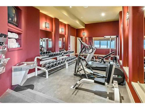 30 Patina Lane Sw, Calgary, AB - Indoor Photo Showing Gym Room