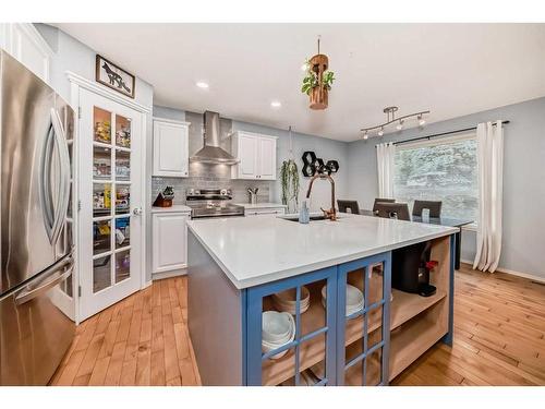 219 New Brighton Circle Se, Calgary, AB - Indoor Photo Showing Kitchen With Upgraded Kitchen