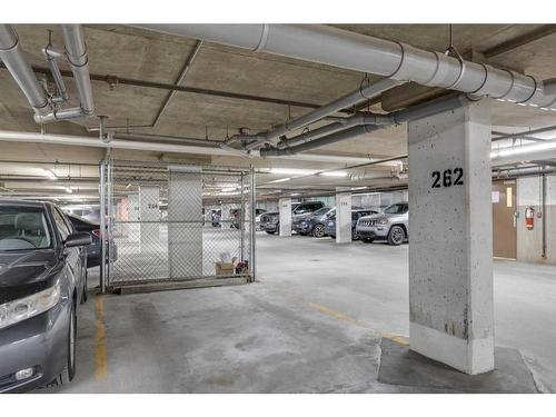 335-10 Discovery Ridge Close Sw, Calgary, AB - Indoor Photo Showing Garage