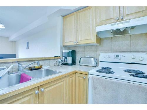 319-92 Saddletree Court Ne, Calgary, AB - Indoor Photo Showing Kitchen With Double Sink