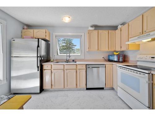 40 Falshire Terrace Ne, Calgary, AB - Indoor Photo Showing Kitchen With Double Sink