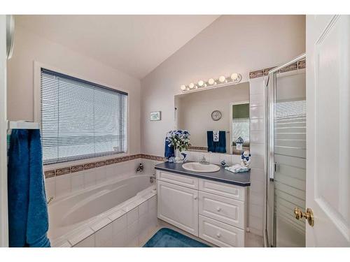 1070 Coventry Drive Ne, Calgary, AB - Indoor Photo Showing Bathroom