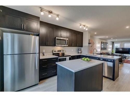 20581 Seton Way Se, Calgary, AB - Indoor Photo Showing Kitchen With Stainless Steel Kitchen With Upgraded Kitchen