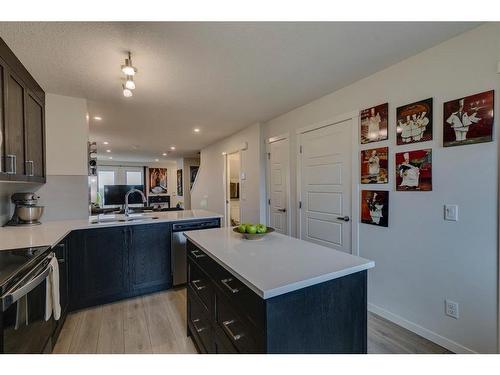 20581 Seton Way Se, Calgary, AB - Indoor Photo Showing Kitchen