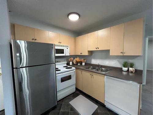 4409-4975 130 Avenue Se, Calgary, AB - Indoor Photo Showing Kitchen With Double Sink