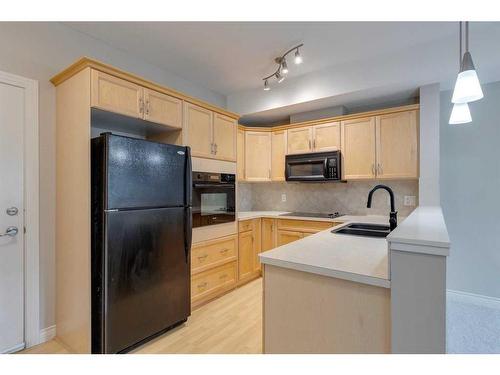 317-60 Royal Oak Plaza Nw, Calgary, AB - Indoor Photo Showing Kitchen With Double Sink