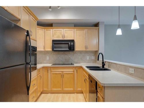 317-60 Royal Oak Plaza Nw, Calgary, AB - Indoor Photo Showing Kitchen With Double Sink