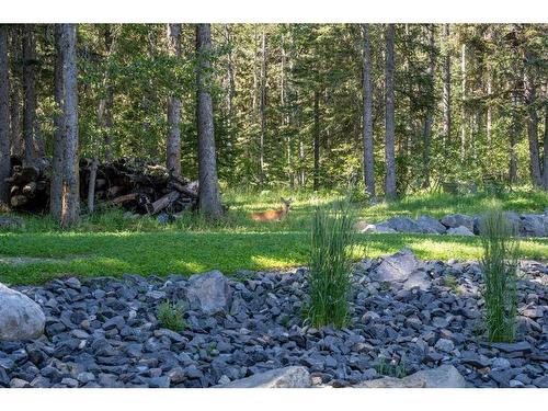 333 Wild Rose Close, Rural Rocky View County, AB - Outdoor