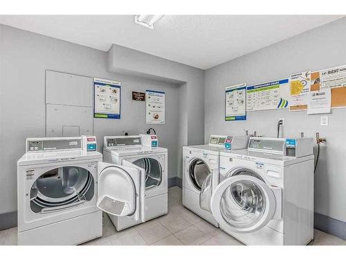 419-30 Mchugh Court Ne, Calgary, AB - Indoor Photo Showing Laundry Room