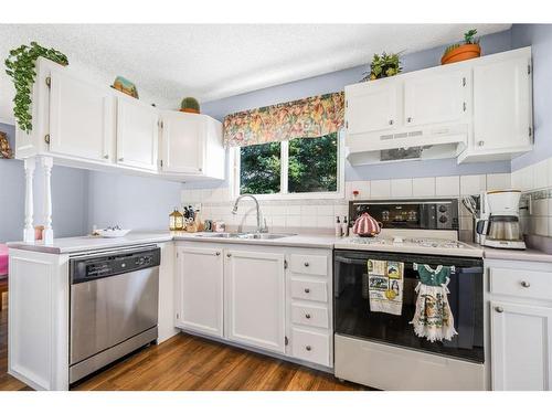 271 Deersaxon Circle Se, Calgary, AB - Indoor Photo Showing Kitchen With Double Sink