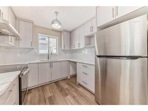 34 Martinbrook Road Ne, Calgary, AB - Indoor Photo Showing Kitchen With Stainless Steel Kitchen With Upgraded Kitchen