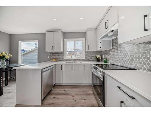 156 Van Horne Crescent Ne, Calgary, AB - Indoor Photo Showing Kitchen With Upgraded Kitchen