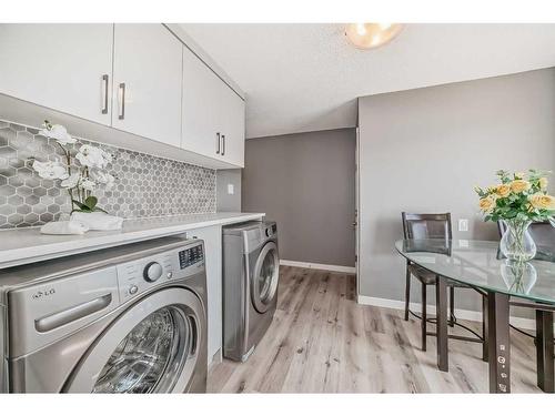 156 Van Horne Crescent Ne, Calgary, AB - Indoor Photo Showing Laundry Room