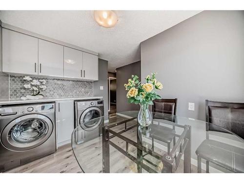 156 Van Horne Crescent Ne, Calgary, AB - Indoor Photo Showing Laundry Room