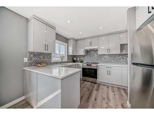 156 Van Horne Crescent Ne, Calgary, AB - Indoor Photo Showing Kitchen With Upgraded Kitchen