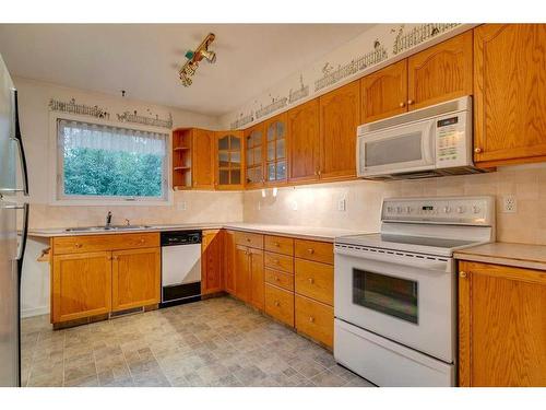 611 Agate Crescent Se, Calgary, AB - Indoor Photo Showing Kitchen With Double Sink