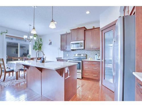 21 Saddlelake Gardens Ne, Calgary, AB - Indoor Photo Showing Kitchen With Stainless Steel Kitchen With Upgraded Kitchen