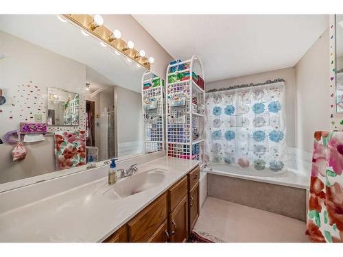 224 Edgebank Circle Nw, Calgary, AB - Indoor Photo Showing Bathroom