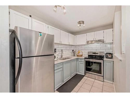 302-1712 38 Street Se, Calgary, AB - Indoor Photo Showing Kitchen With Double Sink