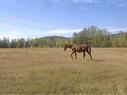 62049B James River Bridge, Rural Clearwater County, AB 