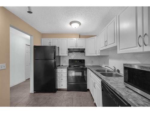 308-1919 17 Avenue Sw, Calgary, AB - Indoor Photo Showing Kitchen With Double Sink