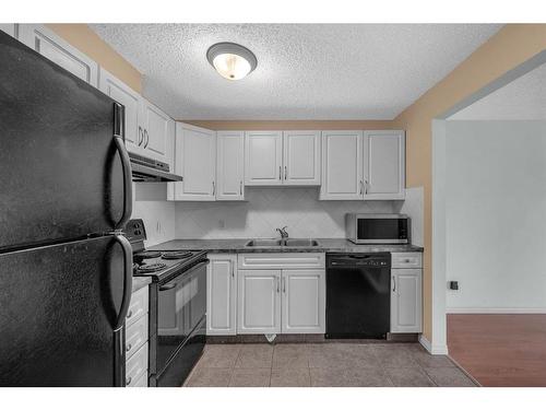 308-1919 17 Avenue Sw, Calgary, AB - Indoor Photo Showing Kitchen With Double Sink