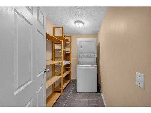 308-1919 17 Avenue Sw, Calgary, AB - Indoor Photo Showing Laundry Room