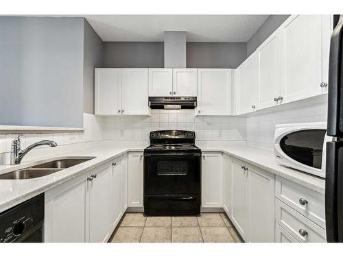 2415-333 Taravista Drive Ne, Calgary, AB - Indoor Photo Showing Kitchen With Double Sink