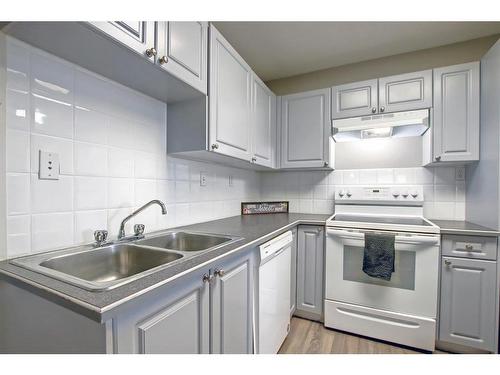 2003 62 Avenue Se, Calgary, AB - Indoor Photo Showing Kitchen With Double Sink