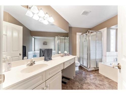 234 Mountain Park Drive Se, Calgary, AB - Indoor Photo Showing Bathroom