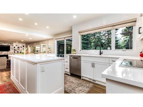 64 Willow Park Green Se, Calgary, AB - Indoor Photo Showing Kitchen