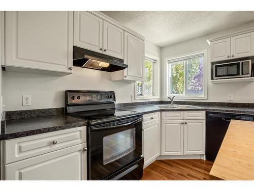 296 Mt Aberdeen Close Se, Calgary, AB - Indoor Photo Showing Kitchen With Double Sink