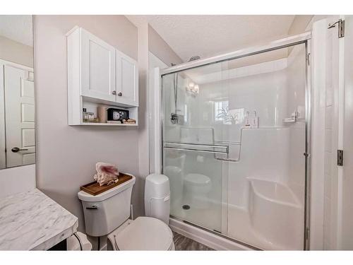 47 Belmont Gardens Sw, Calgary, AB - Indoor Photo Showing Bathroom