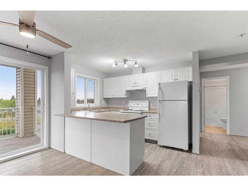 301-1717 60 Street Se, Calgary, AB - Indoor Photo Showing Kitchen With Double Sink