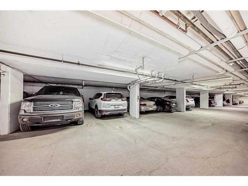 204-3204 Valleyview Park Se, Calgary, AB - Indoor Photo Showing Garage