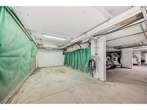 204-3204 Valleyview Park Se, Calgary, AB - Indoor Photo Showing Garage