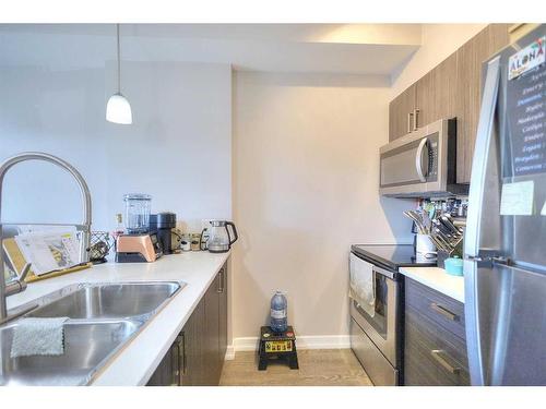 121-117 Copperpond Common Se, Calgary, AB - Indoor Photo Showing Kitchen With Double Sink